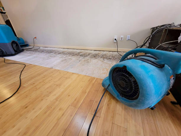 Professional Emergency Water Damage technician working in Chebeague Island, ME